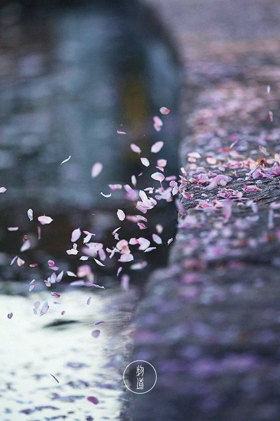 雨水：春雨至，万物生