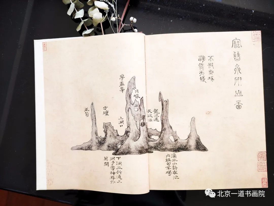 鼮ذ񡪡ɽཿ