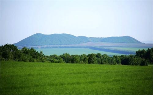 《民法典》涉林工作指引