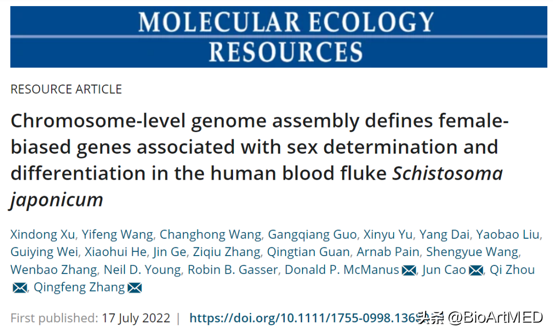 徐新东等揭示日本血吸虫性别决定与分化的遗传学基础