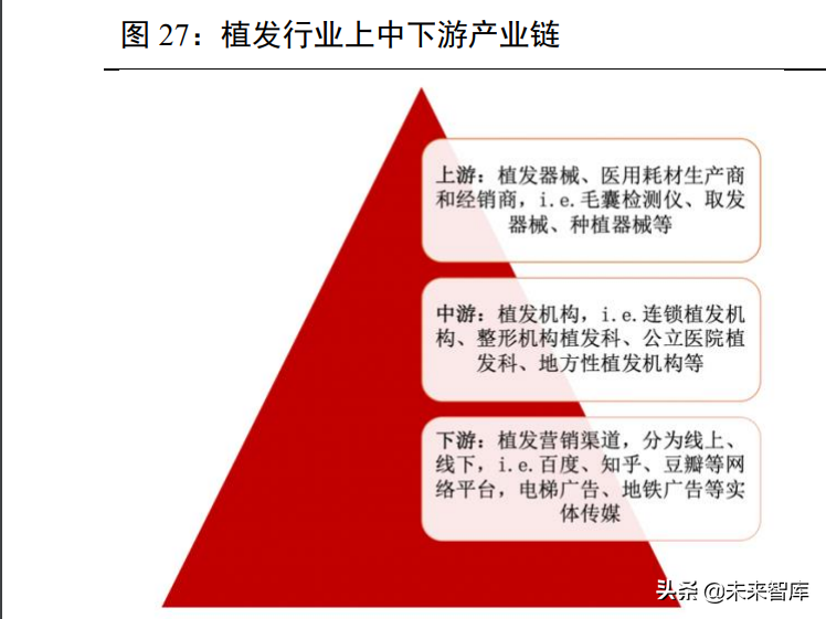 植发医疗行业专题报告：“头”等大事牵动千亿毛发市场