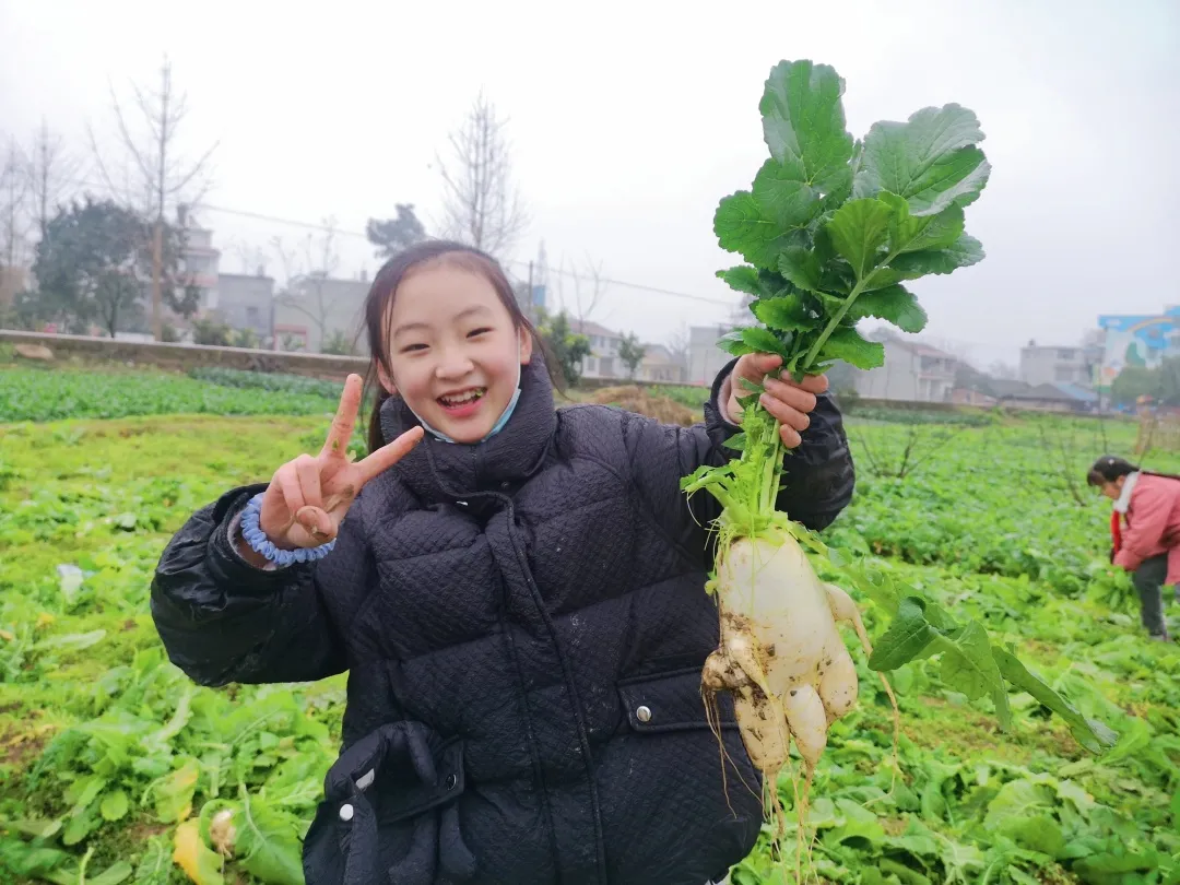 「城南小学•德育工作」小基地大收获 劳动实践快乐多