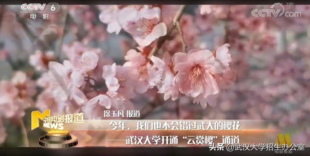 他是民国教育部长、武大首任校长，曾许下宏伟心愿！武汉大学：已经实现！