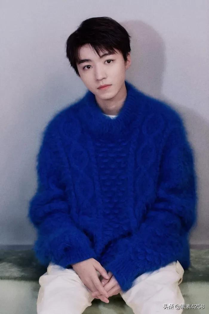 中国内地歌手、影视演员王俊凯