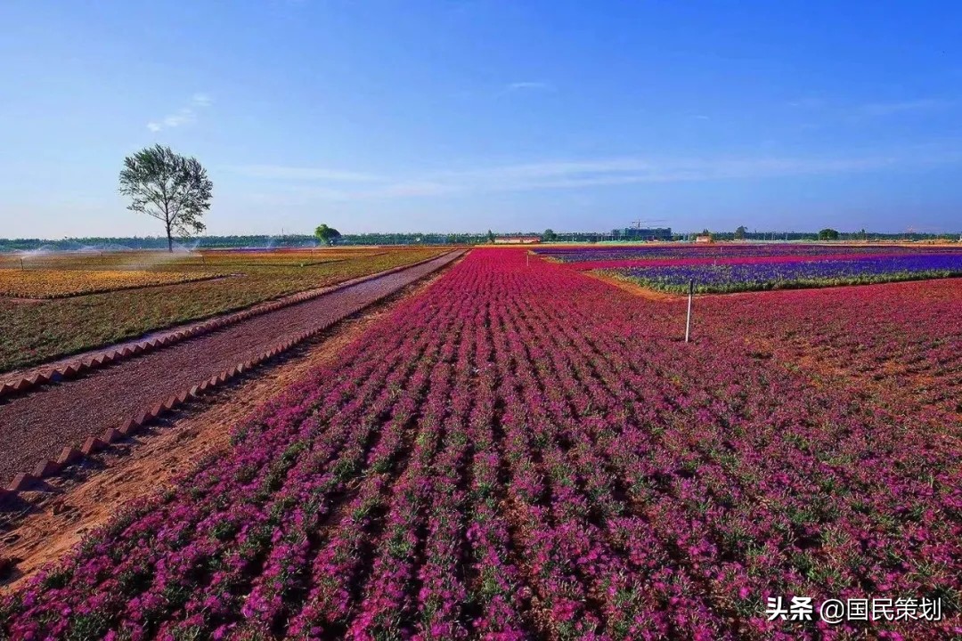 官方：鼓励有意愿农户成为家庭农场！拐点已出现，小农业是载体？