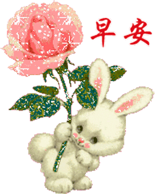 周日早上好，珍惜真正的朋友，感受友谊的温暖图片