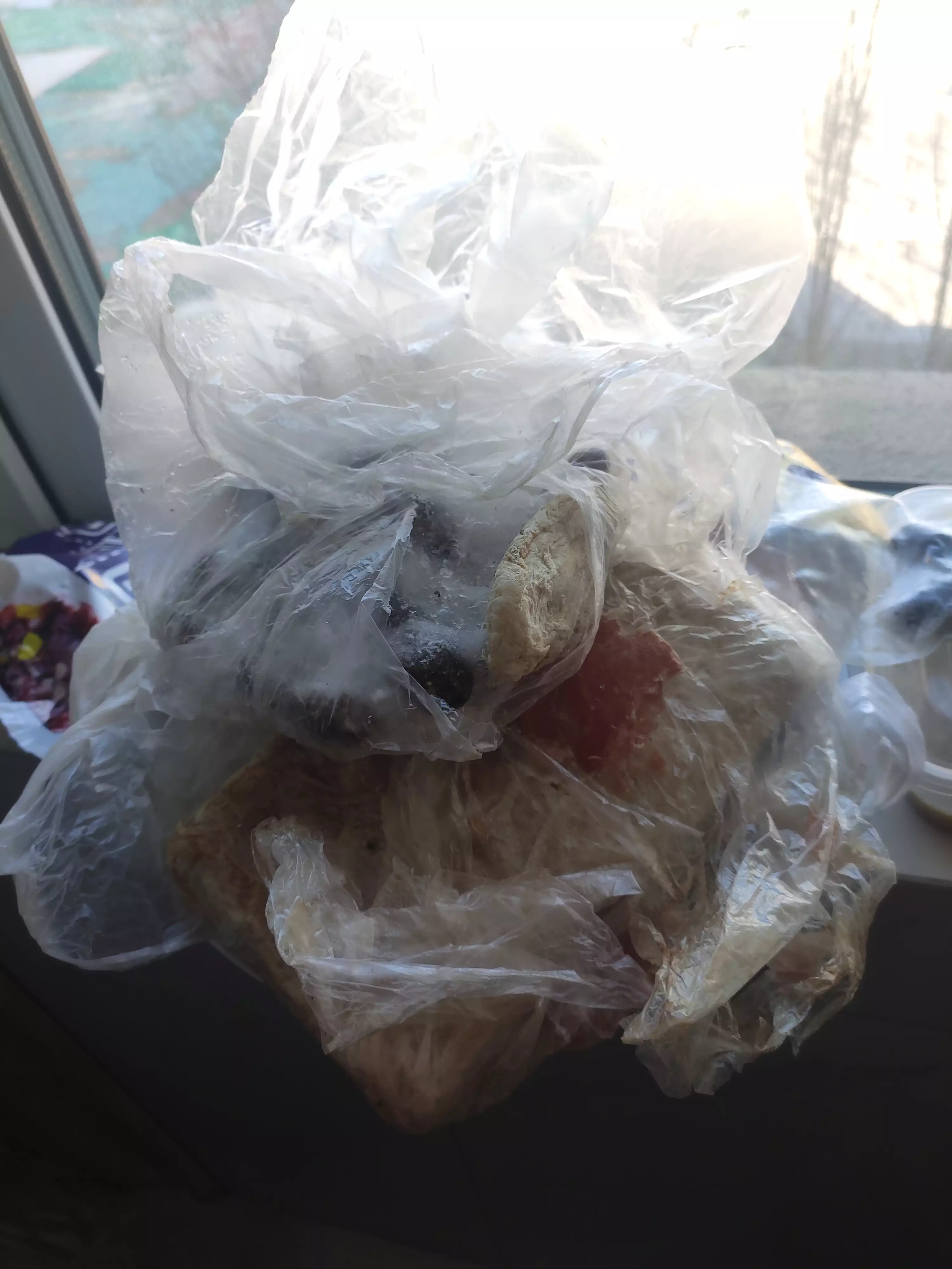 全家人感染了病毒在家要注意什么(病毒来势汹汹，身边的人大部分都阳了,阳了的家庭)