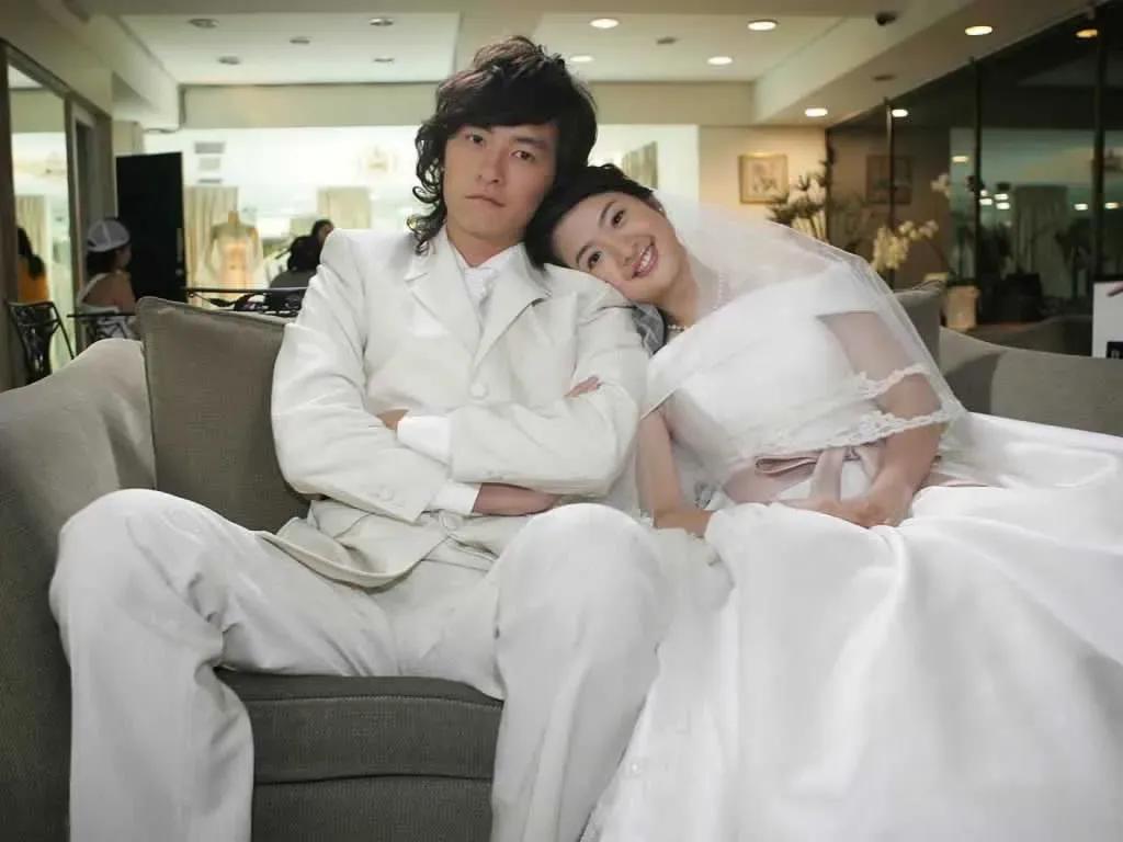 那些年我们一起追过的台湾偶像剧