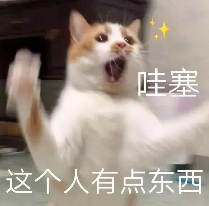 猫猫搞笑表情包