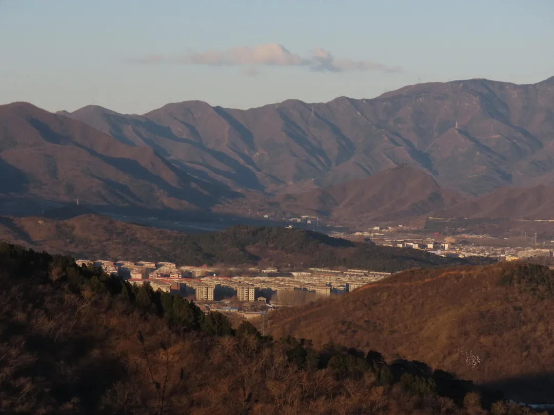 静美如诗，鸟鹊鸣啭，尽赏北京百望山冬日画卷~