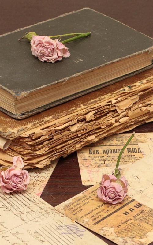 关于岁月的优美散文(时间流逝的优美散文敬岁月) _晶羽科技