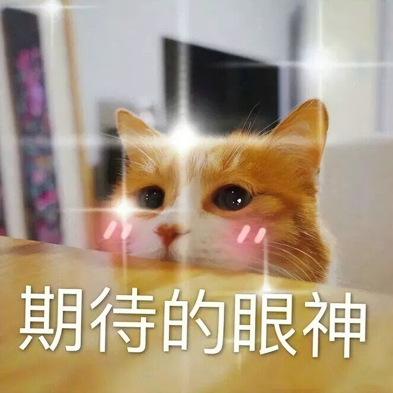 装修预算报价软件？