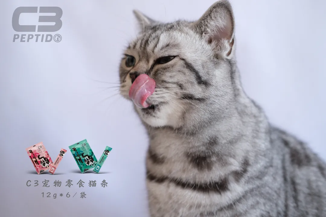 “C3帕缇朵杯”全国宠业渠道商贵宾尊享游船晚宴于3月3日盛大举办