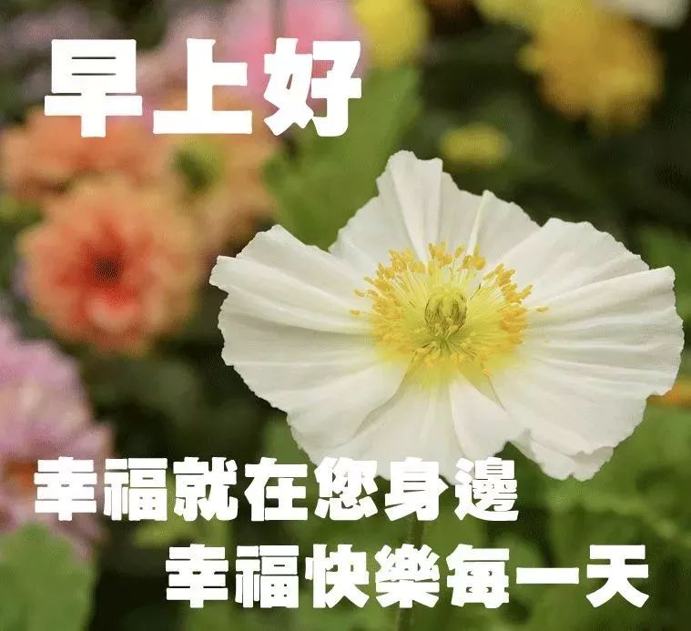 新版早上好图片带字 夏天早上做好表情包，注意防暑，补充水分图片