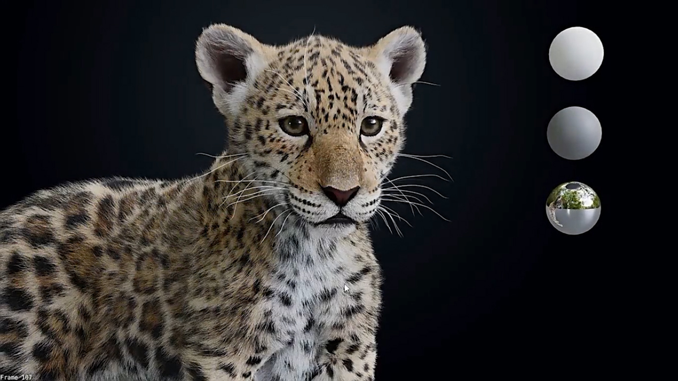 blender豹子毛发动画教程