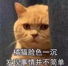 讲真的，为什么十二生肖里没有猫？