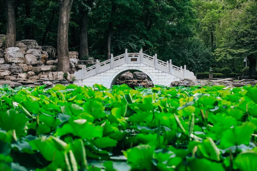 北京航空航天大学2022年高水平运动队招生简章