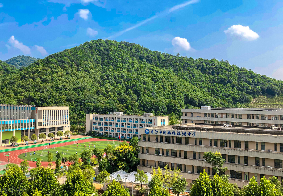 读书永远是最简单的奋斗，过来人给高中生们奉上5条建议，收藏