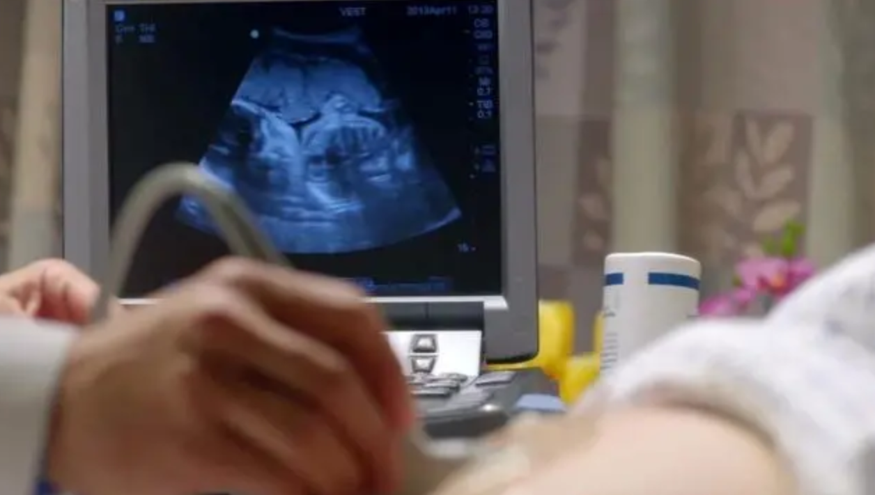 辽宁妈妈怀孕7个月确诊白血病,潜伏期最后一年决定陪儿子做10件事