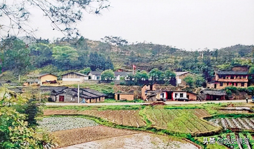 瞿秋白留守苏区的事实真相