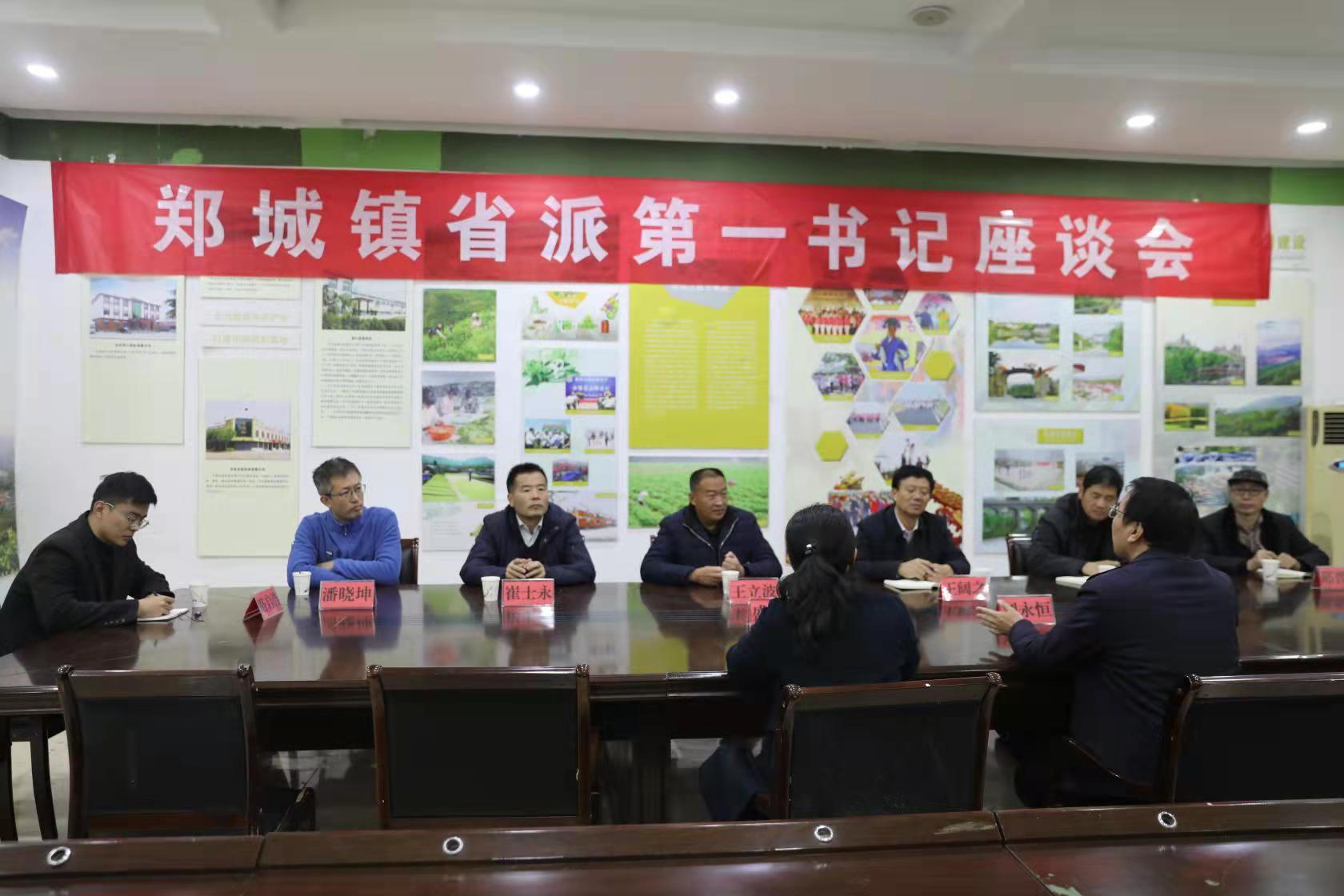 郑城镇组织开展省派第一书记现场观摩活动