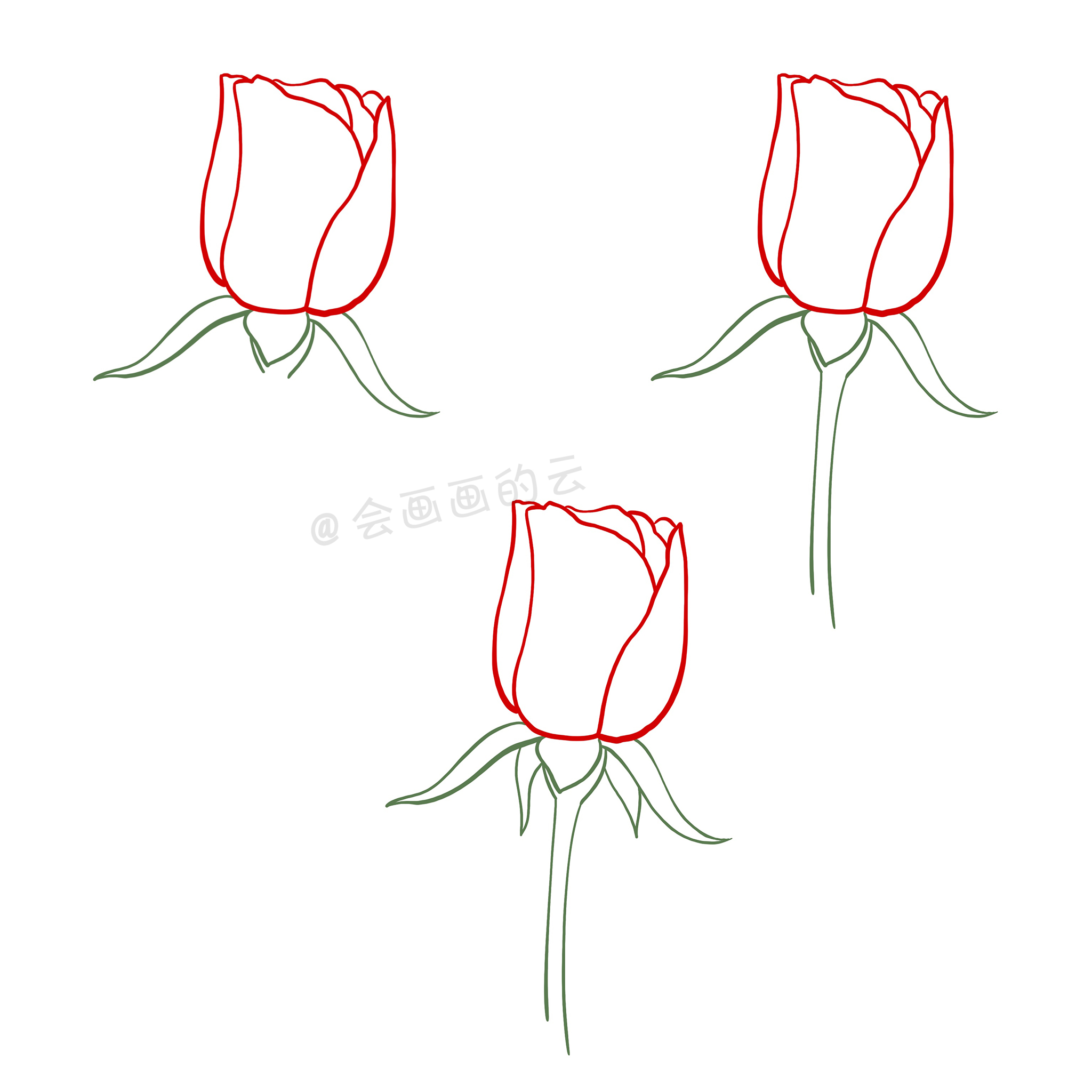 画玫瑰花的简笔画（超简单玫瑰花简笔画教程分享）