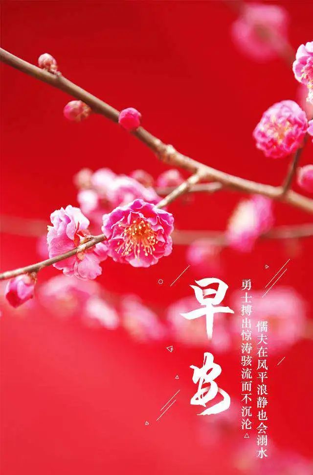 ​微信早上好图片表情祝福 新版早安问候语阳光正能量句子图片