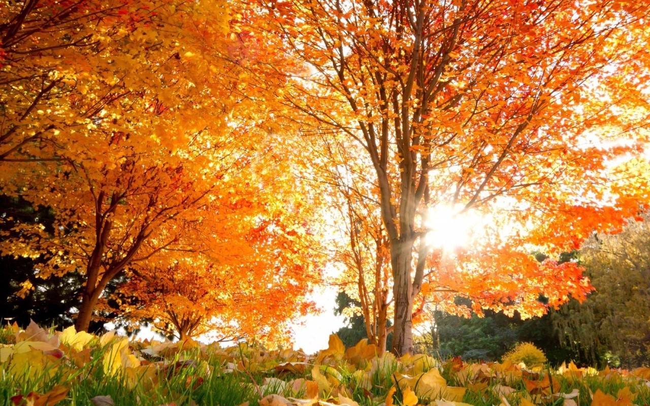 7首诗词：人世间，最美的相遇是重逢