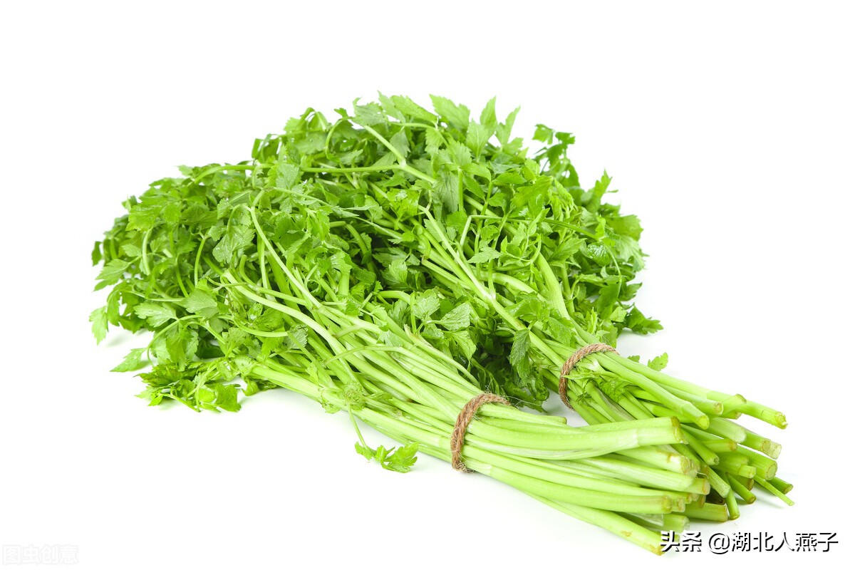 55种野菜大图片，带你见识不同的野菜和吃法，你想要的野菜这里有