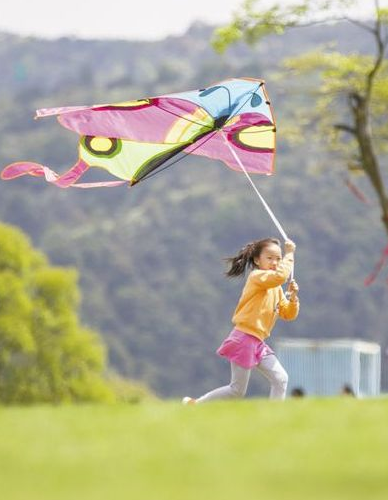 小学关于风筝的古诗（10首与风筝有关的古诗词）