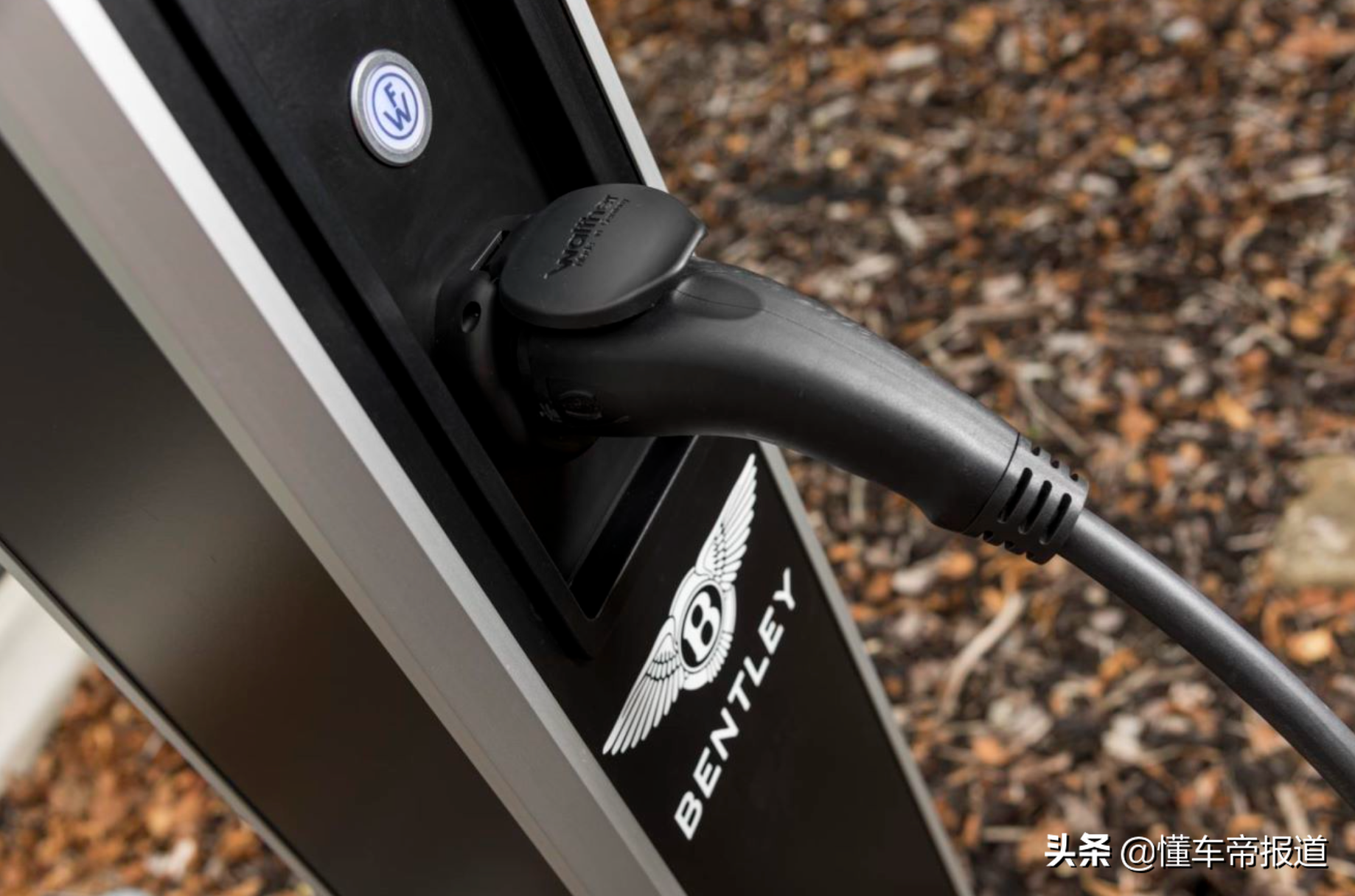 新车｜将于2025年正式发布，纯电驱动！曝宾利电动SUV假想图
