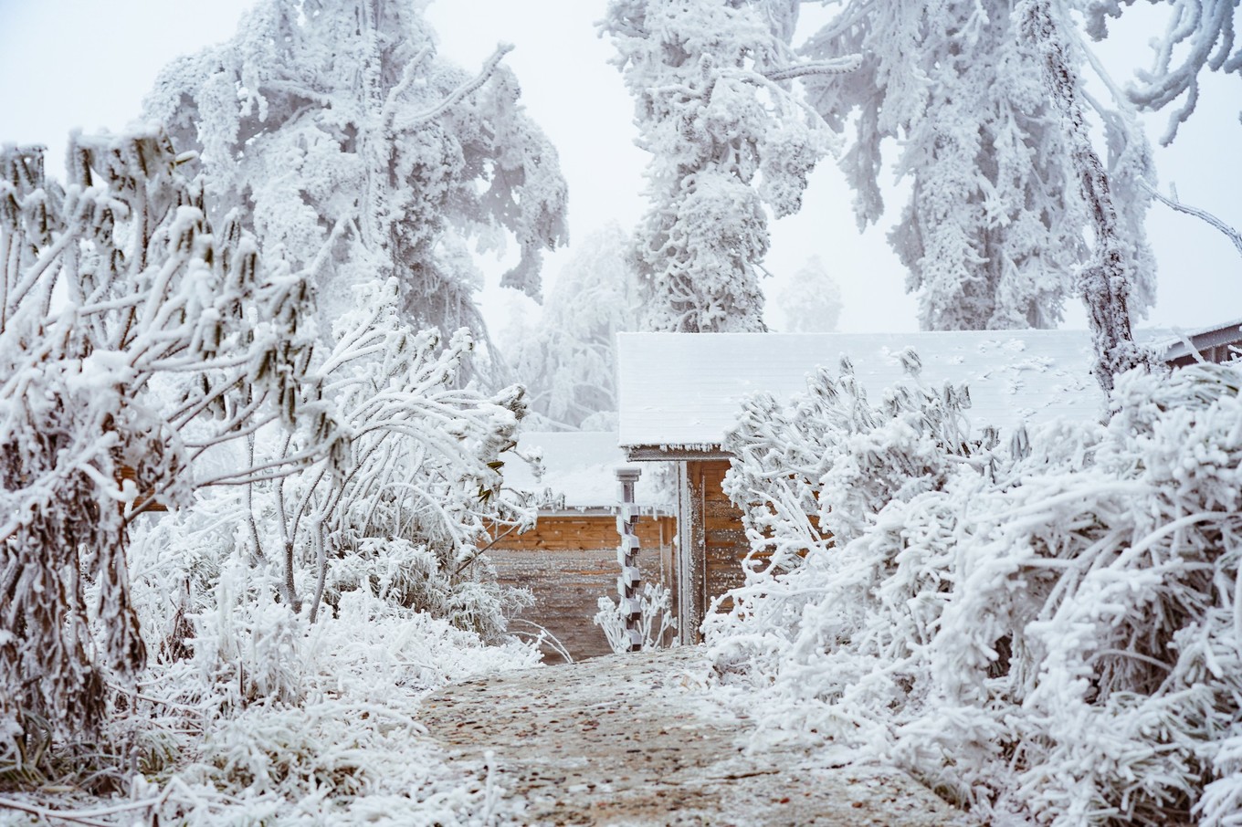 云海之上，贡嘎之巅，王岗坪冰雪之旅