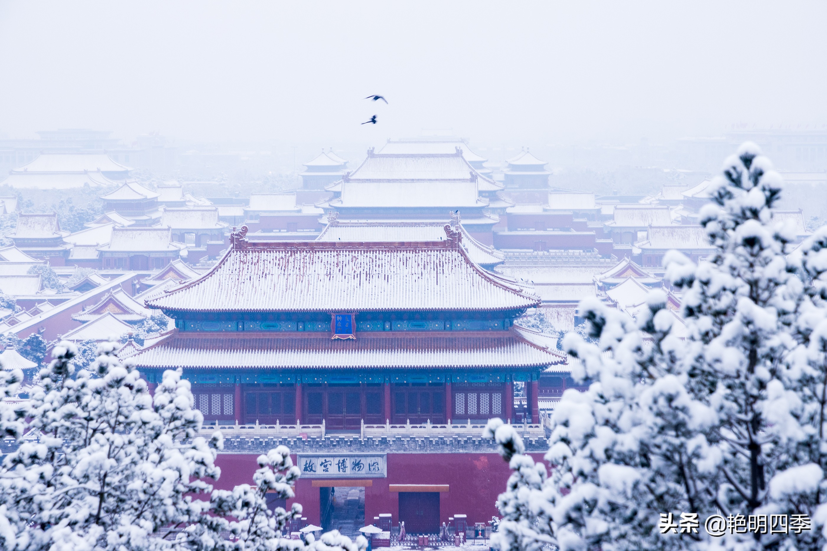 春天里，在紫禁城看一场大雪，与冬天做一个郑重的告别