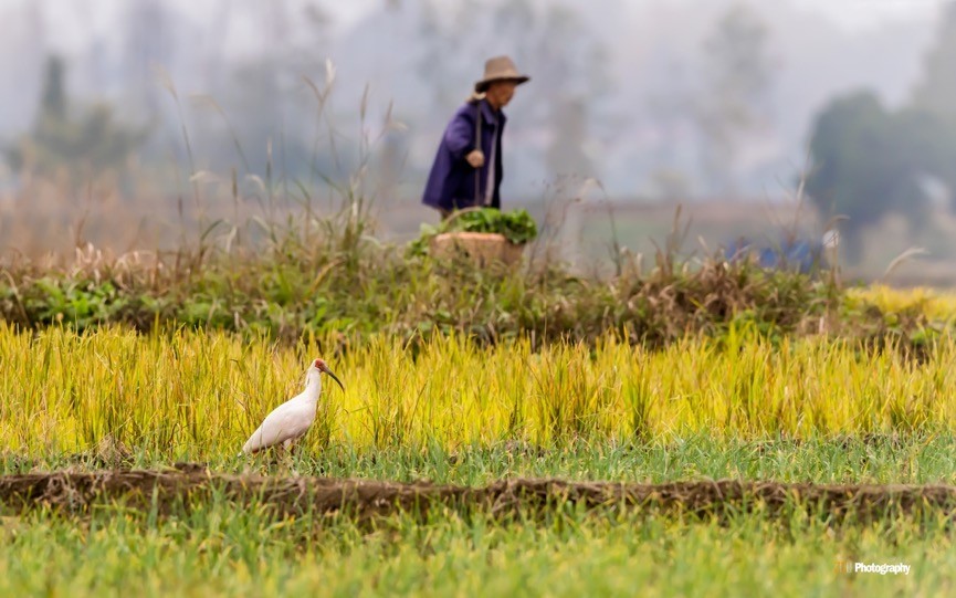 世界地球日（The World Earth Day），让我们用影像珍爱地球