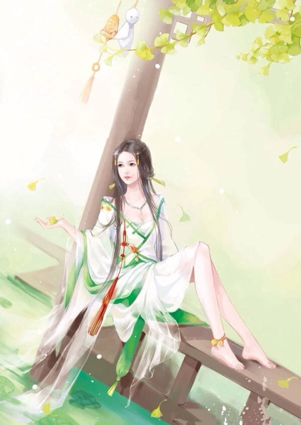 后宫小说《问道红尘》女主角全解析(配图)