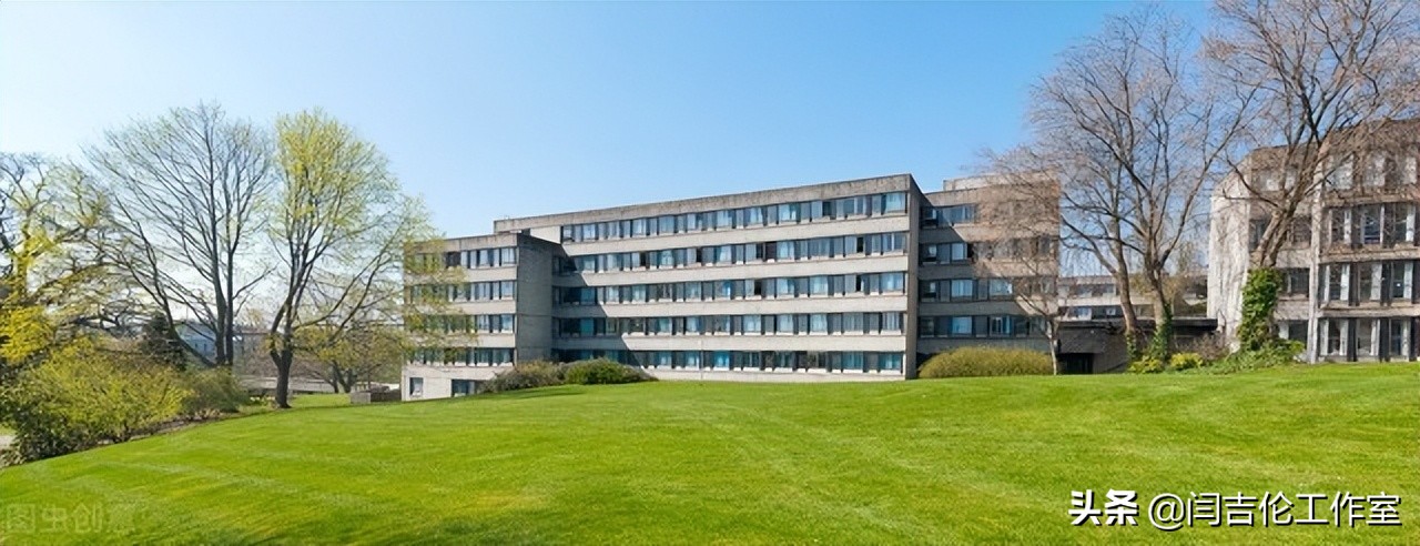 蹭热点｜企业培训为啥要搞？组织学习价值创造理论（之一）