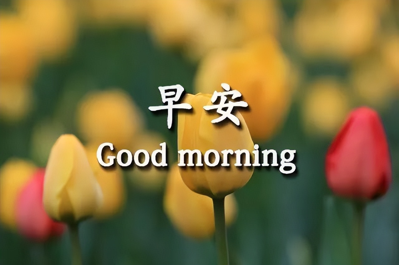 早上好问候语图片动态表情包 愿你心情好，顺心无烦恼图片