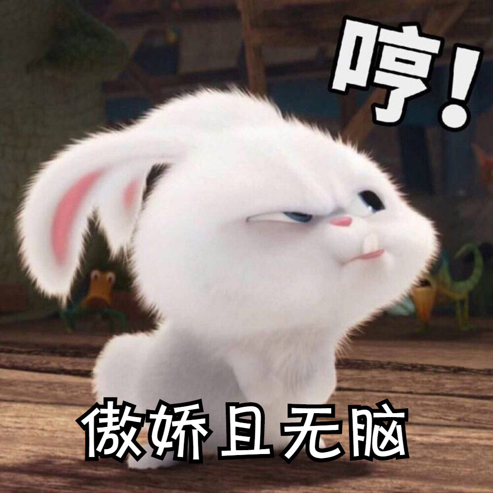 加拿大鹅双标，国货波司登能否把市场扛起来？