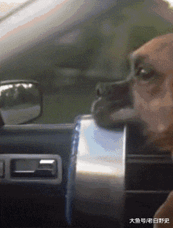 女朋友出差了，说去了上海出差，还给我发来了一张这样的照片