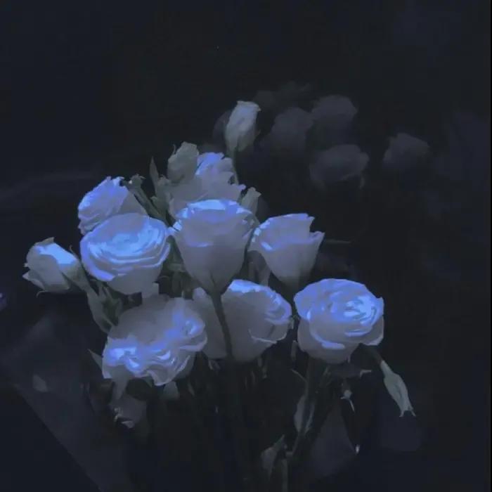 文案‖得偿所愿是世界上最好的惊喜