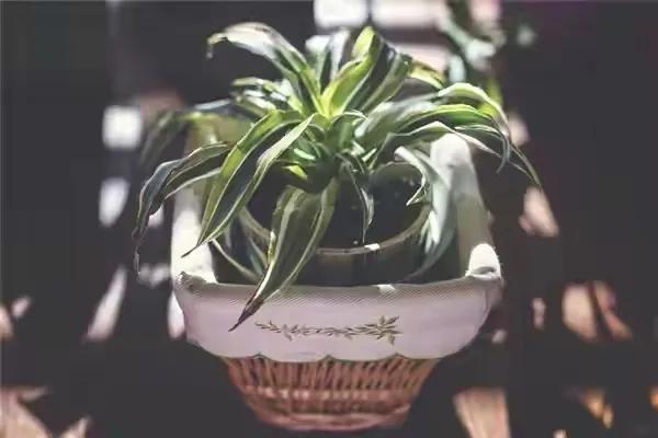 积极的句子：如果事与愿违，请相信上天一定另有安排