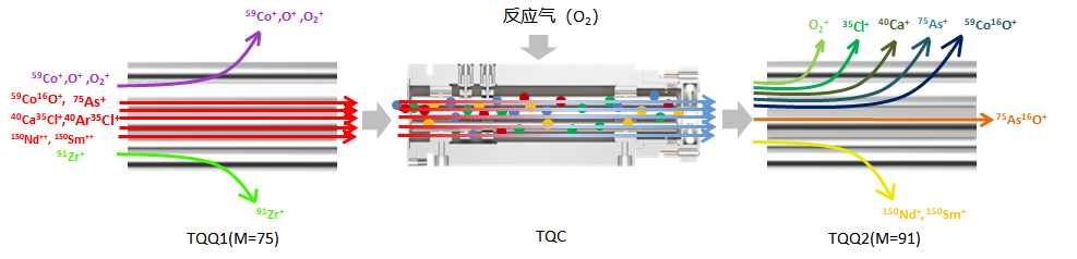 智慧實(shí)驗(yàn)室 | 譜育科技三重四極桿ICP-MS，為食品質(zhì)量安全保駕護(hù)航