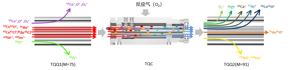 智慧實(shí)驗(yàn)室 | 譜育科技三重四極桿ICP-MS，為食品質(zhì)量安全保駕護(hù)航