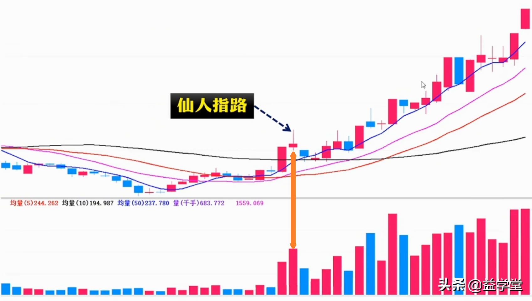 学会这招仙人指路，你的股票离盈利就不远了！小白股民更要看