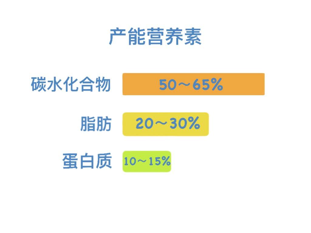 这次就教会你，你一天应该摄入多少食物