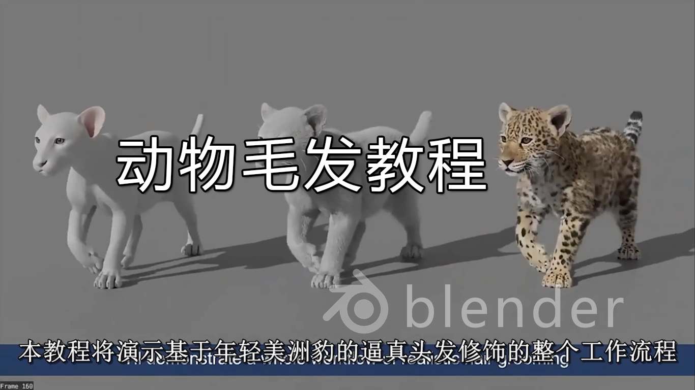 blender豹子毛发动画教程