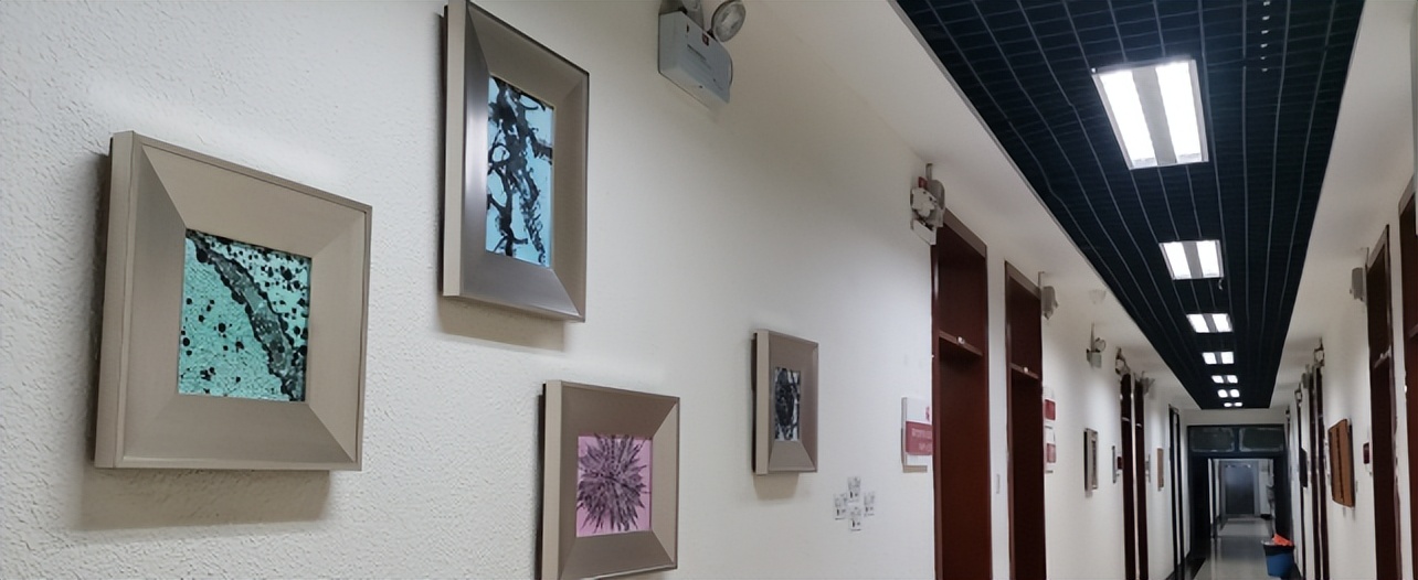 想学哲学，为什么要选川大哲学系？