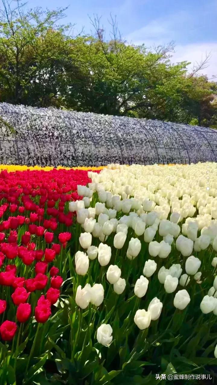 静赏花开花落，是一种随缘的自在