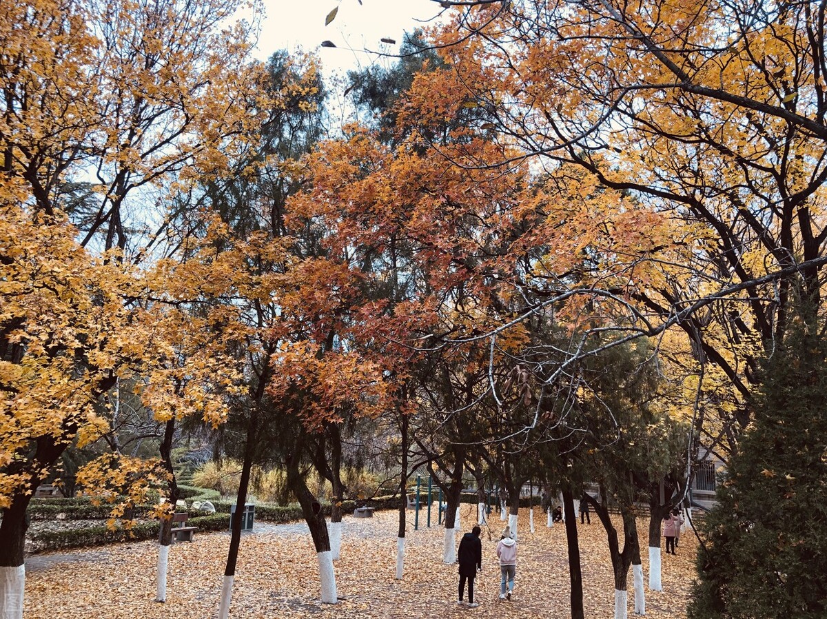 这5所山东的公办专科学校，最低分150分，超低分数段学生享福了