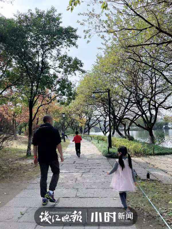 最远通勤路？杭州男子每周飞天津上班，每月路费4000元！问他为啥不回来，答案看哭打工人